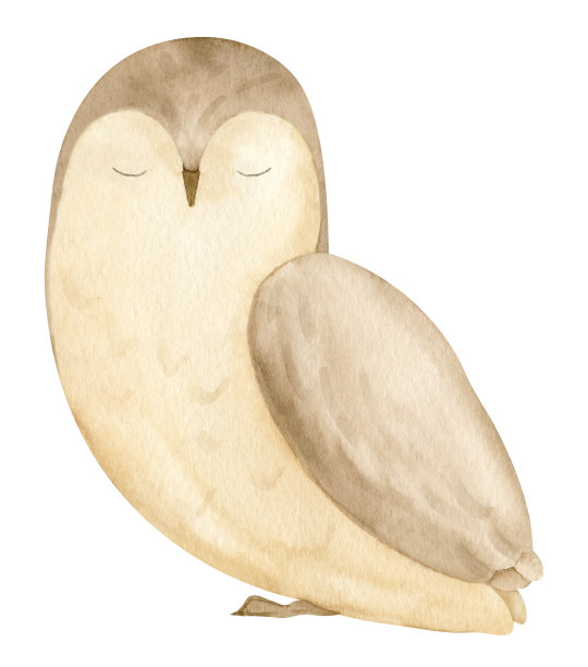 可爱的水彩猫头鹰。手绘插图林地鸟在白色孤立的背景为婴儿淋浴贺卡或邀请。画森林动物的儿童海报在柔和的颜色图片下载