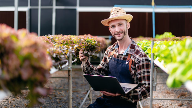 农商和水培农业的概念，人采摘图片下载