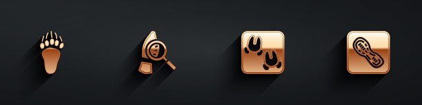 集熊掌足迹，放大镜与脚印，野猪和人类脚印鞋图标与长阴影。向量图片下载