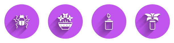 集甲虫虫，花在花瓶，萌芽瓶和异国情调的热带盆栽图标长阴影。向量图片下载