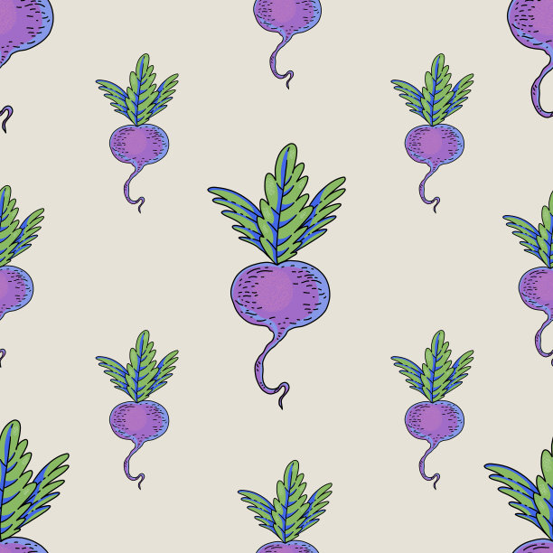 夏日花园甜菜根，卡通蔬菜花纹无缝，质地明亮图片下载