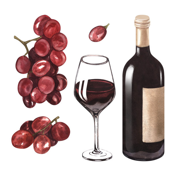 水彩插图的瓶子，一杯红酒和葡萄。酒精饮料的图片被隔离在白色的背景上。概念酒单，标签，横幅，菜单，宣传册模板。图片下载