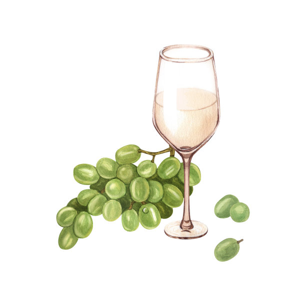 水彩白葡萄酒杯与葡萄浆果。手绘水彩插图，孤立在白色背景上。概念酒单，标签，横幅，菜单，传单，宣传册模板图片下载