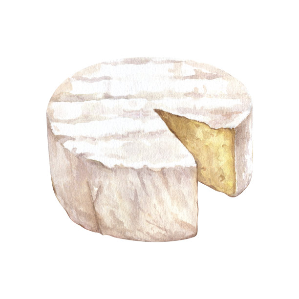 奶酪切割块水彩图像。奶油切布里干酪或卡门贝尔奶酪插图。美味的食物形象。法式料理奶制品。美味健康的奶油有机零食图片下载