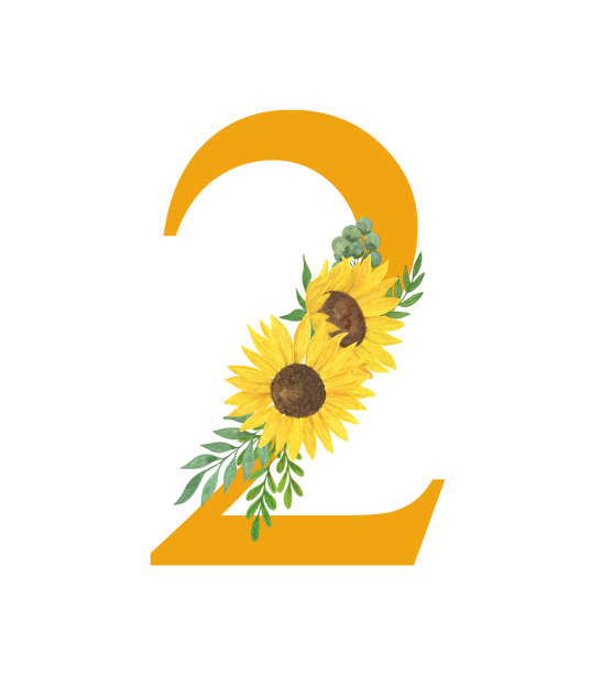 二号装饰向日葵和树叶，花卉字母组合水彩插图在简单的手绘风格，夏季花卉装饰刻字收藏图片下载