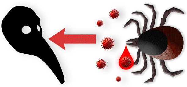 蜱虫是一种危险病毒的携带者。这种昆虫传播鼠疫病原体、西尼罗河病毒、脑炎等传染病。图片下载