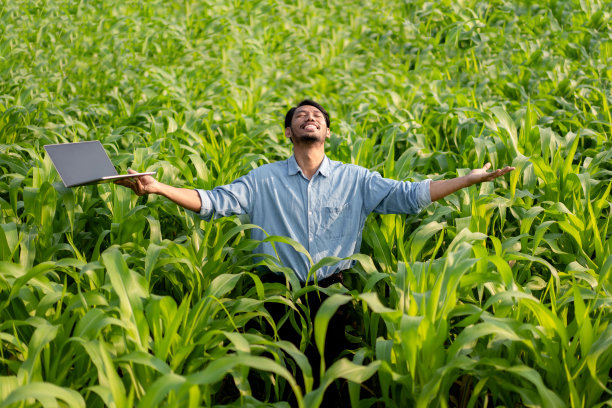 聪明的农民拿着笔记本电脑，开心地站在玉米地里图片下载