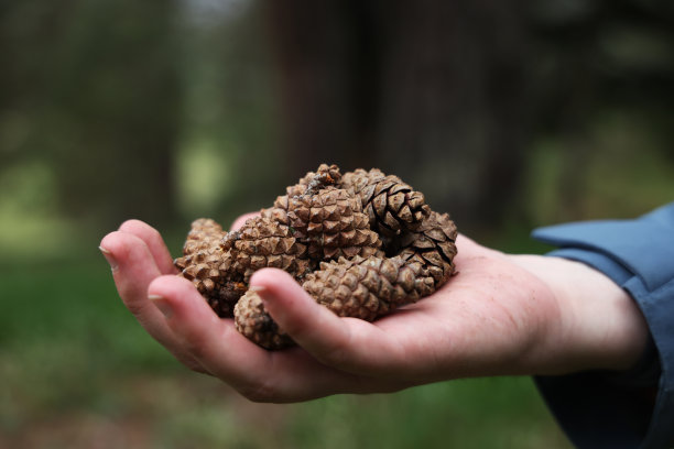 拿着锥体的人图片下载