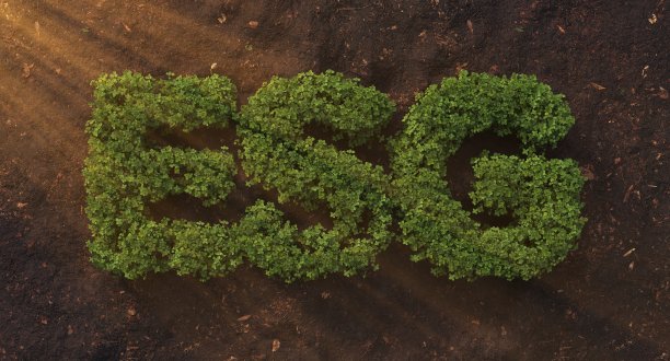 环境、社会和治理的ESG概念，组织可持续发展的理念。考虑环境、社会和公司治理图片下载