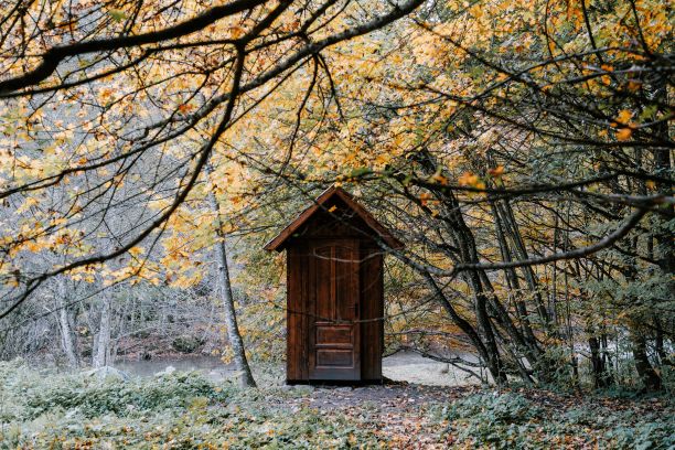 古雅的木屋坐落在风景如画的林地中，背景是宁静的湖泊图片下载
