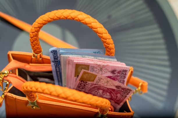 手提包里的新尼日利亚奈拉钞票图片下载