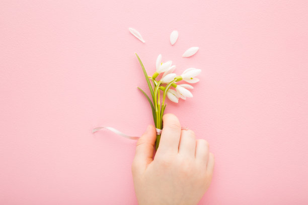 女婴手拿着新鲜美丽的一束白色的雪花莲与绿色的叶子在浅粉红色的桌子背景。柔和的颜色。特写镜头。春天的花。祝贺的概念。自顶向下视图。图片下载