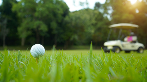 高尔夫球在绿色的草地在傍晚高尔夫球场与阳光的背景。图片下载