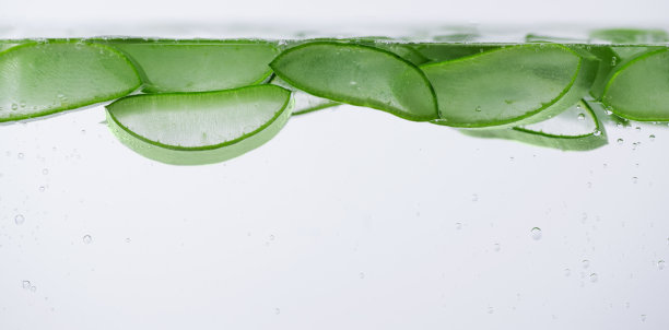 将芦荟切片放入水中，加入水滴。图片下载