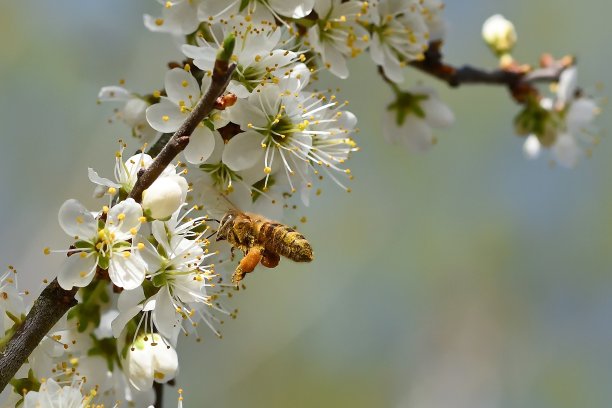 一个图标设计的Ab测试比较测试矢量免费PNG PNG图像图片下载