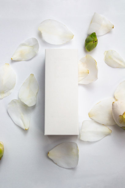 一箱箱的天然化妆品、精华液和乳剂图片下载