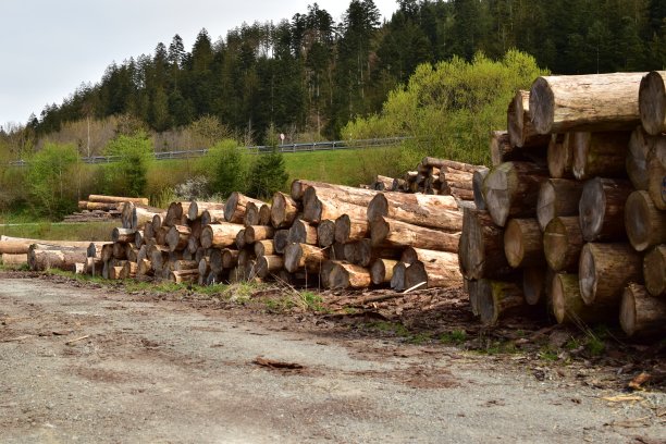 在乡下的一堆木头图片下载