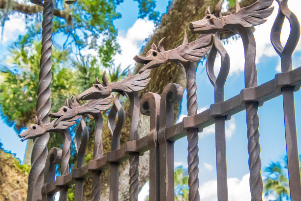 华丽的金属门图片下载