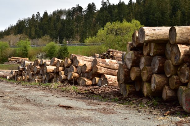 在乡下的一堆木头图片下载
