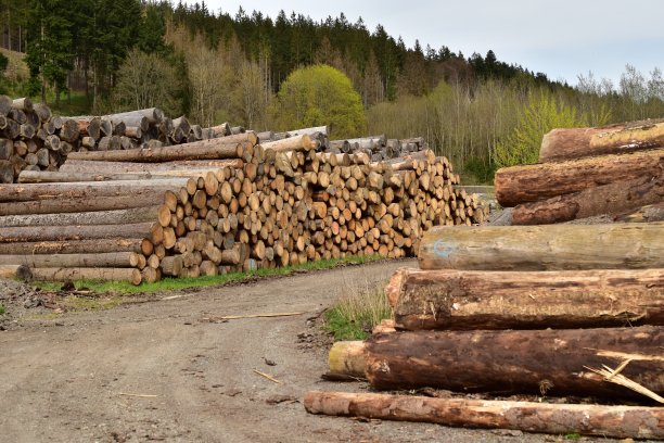 在乡下的一堆木头图片下载
