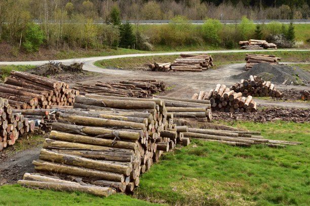 在乡下的一堆木头图片下载