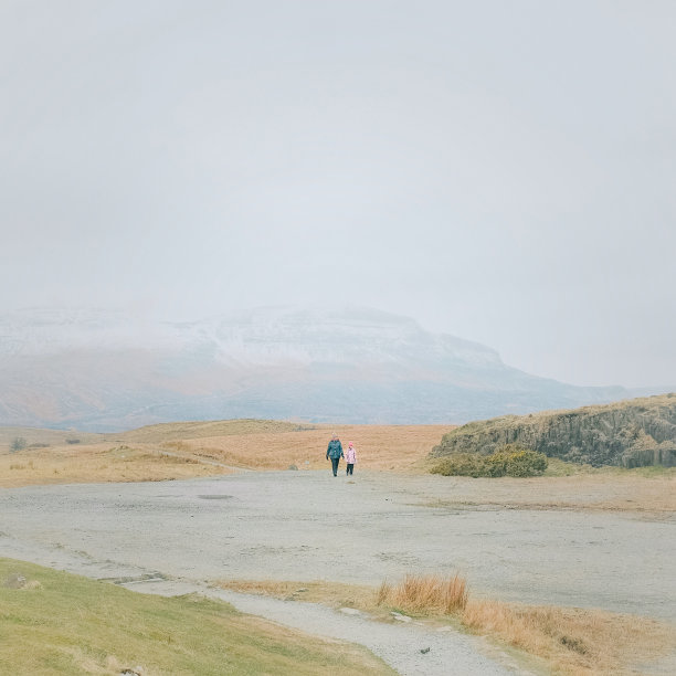苏格兰高地人图片下载