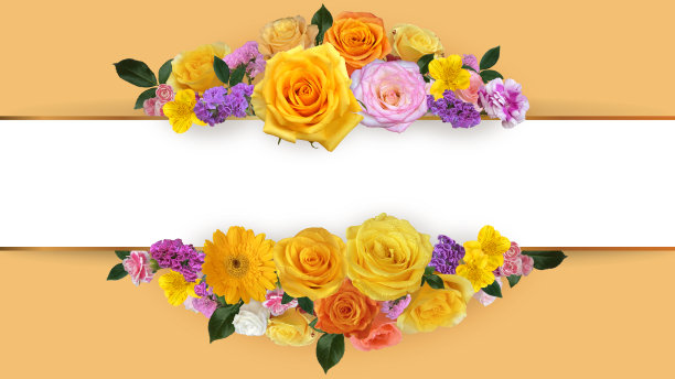 黄玫瑰边框。图片下载