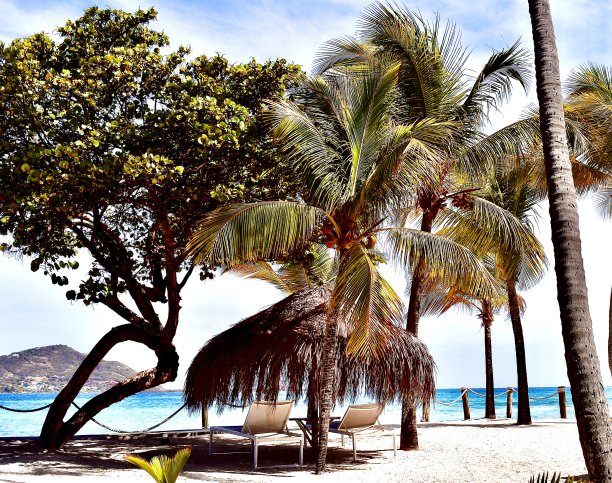 热带气候和茅草屋图片下载