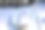 白色的盘子配上淡紫色的餐巾，清澈的酒杯和花朵——百合、玫瑰和菊花。婚宴桌图片下载