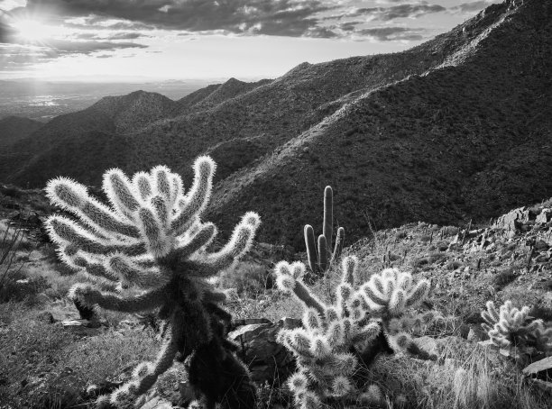 全罗、蛇罗和山坡图片下载