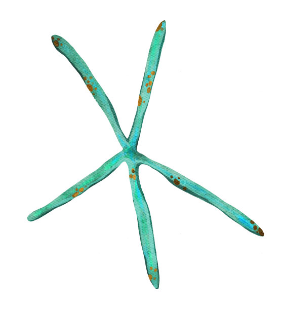 水彩画海洋珊瑚礁绘制海洋天然藻类，水螅珊瑚植物海藻白色背景手绘插画图片下载