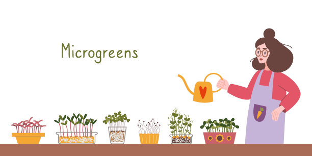 一名妇女在她的室内厨房花园里浇灌微型蔬菜，卡通风格。舒适的活动，园艺爱好。新潮的现代孤立矢量插图，手绘，平面图片下载