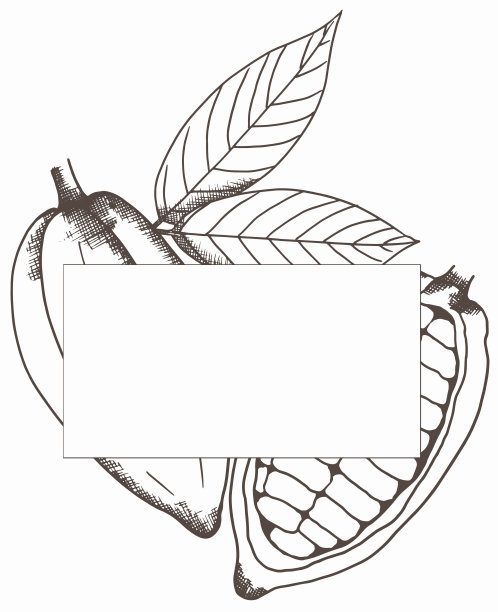 手绘复古可可枝衬框插图，花圈，可可叶和豆荚边界剪贴画图片下载