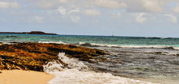 海洋泡沫聚集在藻类覆盖的珊瑚礁表面图片下载