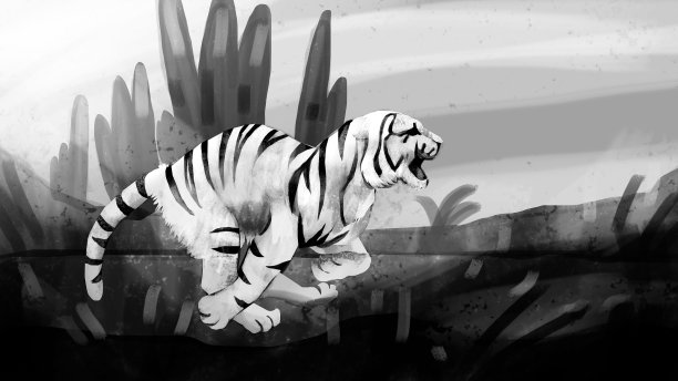 奔跑的白虎插画图片下载