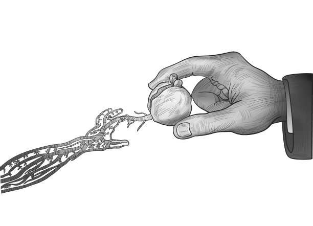 播种，播种漫画，为下一代矢量插图图片下载