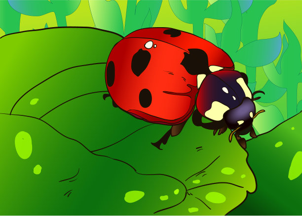 瓢虫在叶矢量插图图片下载