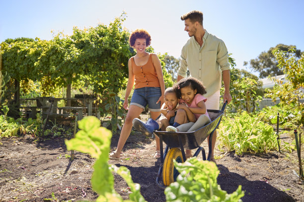 有孩子的家庭被在菜园或土地上工作的父母推到手推车里图片下载