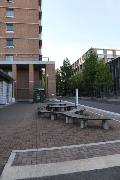 几何图案木制建筑。图片下载