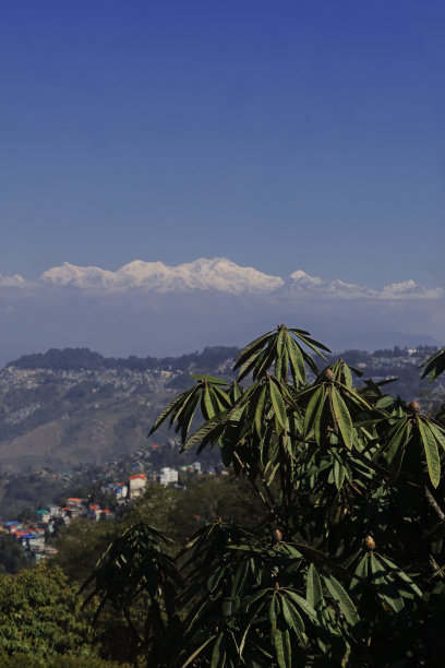 大吉岭山站和世界第三高峰干城章嘉峰的全景，印度雪山图片下载