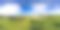 新西兰空中高尔夫球场的360度全景图片下载