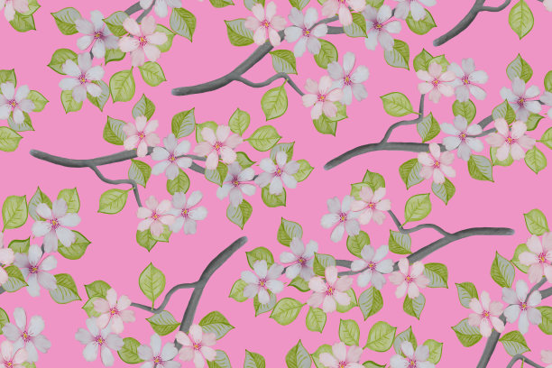水彩无缝图案与苹果树枝与白色的花朵。图片下载