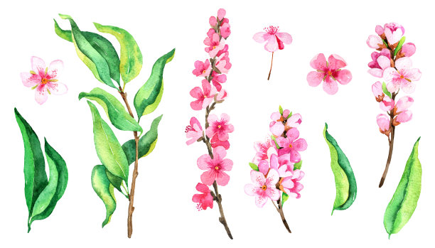 水彩插图图片下载