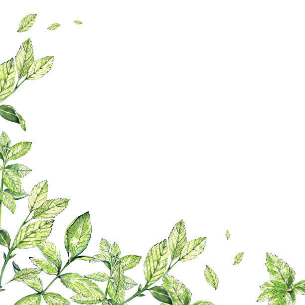 一组素描风格的水彩元素。带有叶子和花朵的明亮薄荷。茶具。用于明信片和设计。图片下载