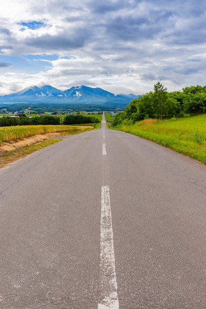 北海道夏天金色的麦田图片下载