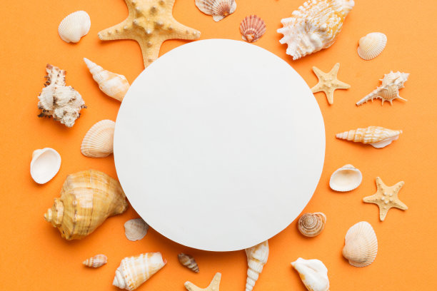 夏季时间的概念与空白贺卡和空白白纸在彩色背景。从海洋海岸的贝壳在框架的形状，与文字顶视图的空间分开图片下载