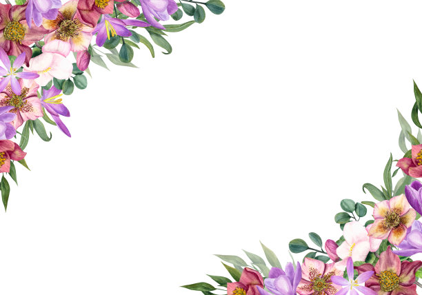 矩形花框架与水彩水仙，番红花，桉树孤立在白色背景。植物插图明信片设计，邀请模板，问候图片下载