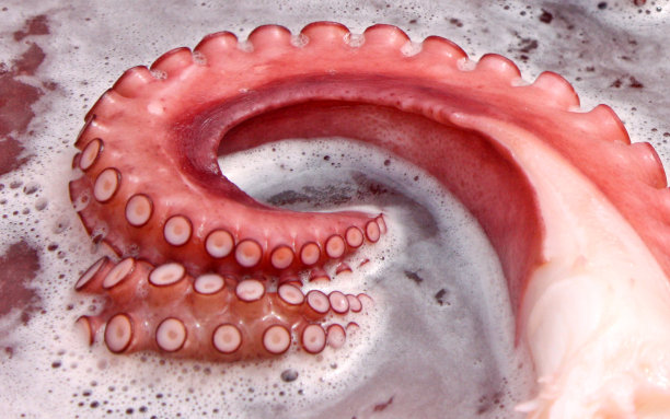 章鱼触手在锅里煮。图片下载