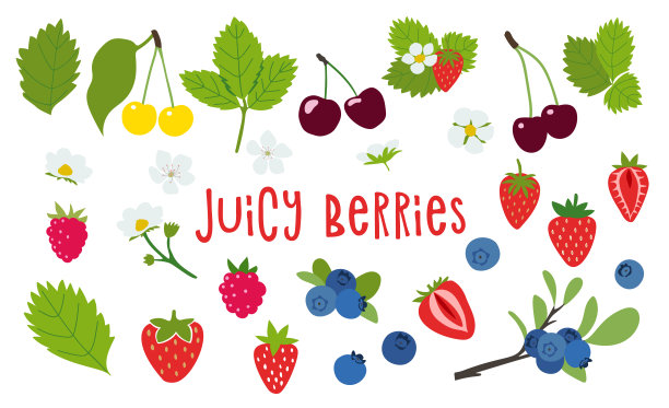 多汁的浆果，矢量，图片下载