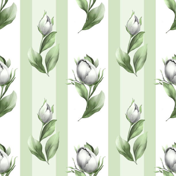 无缝图案与白色郁金香条纹的背景。花卉背景与手绘花。图片下载